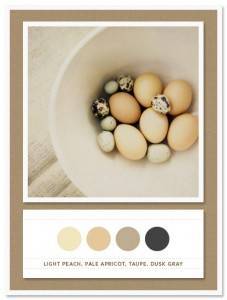 Color Card 023: Light Peach, Pale Apricot, Taupe, Dusk Gray 11