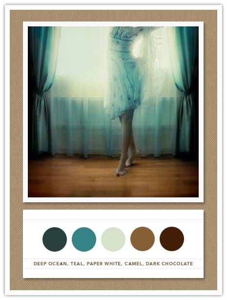 Color Card 041