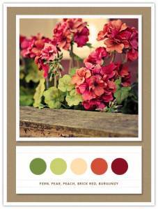 Color Card 072: Fern, Pear, Peach, Brick Red, Burgundy 1