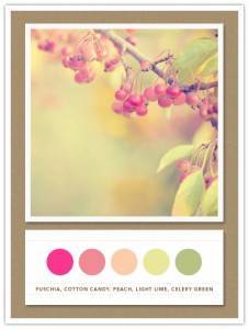 Color Card 074: Fuschia, Cotton Candy, Peach, Light Lime, Celery Green 22