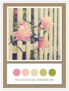 Color Card 081: Rose, Blush Pink, Khaki, Spring Green, Fern 5