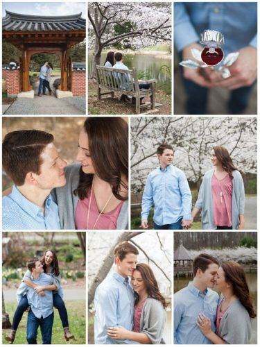 Cherry Blossom Proposal 5