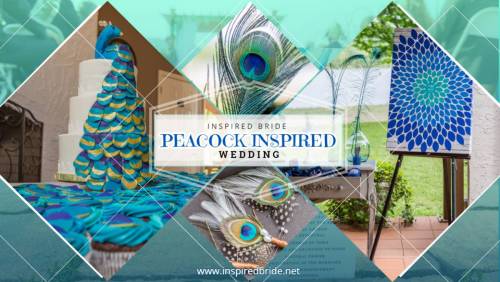 Peacock Inspired Wedding 215