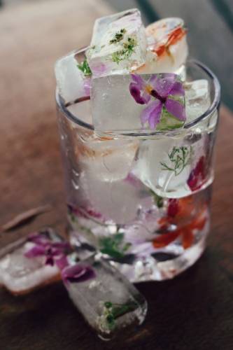 How To Make Fancy Wildflower Ice Cubes 91