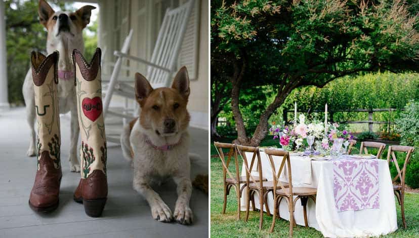 rustic-wedding-outdoor-chair-dogs