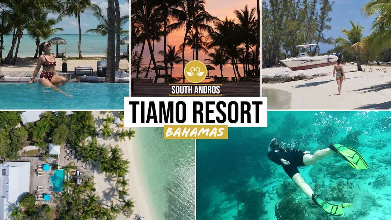 Image result for The Tiamo Resort, South Andros - Luxury