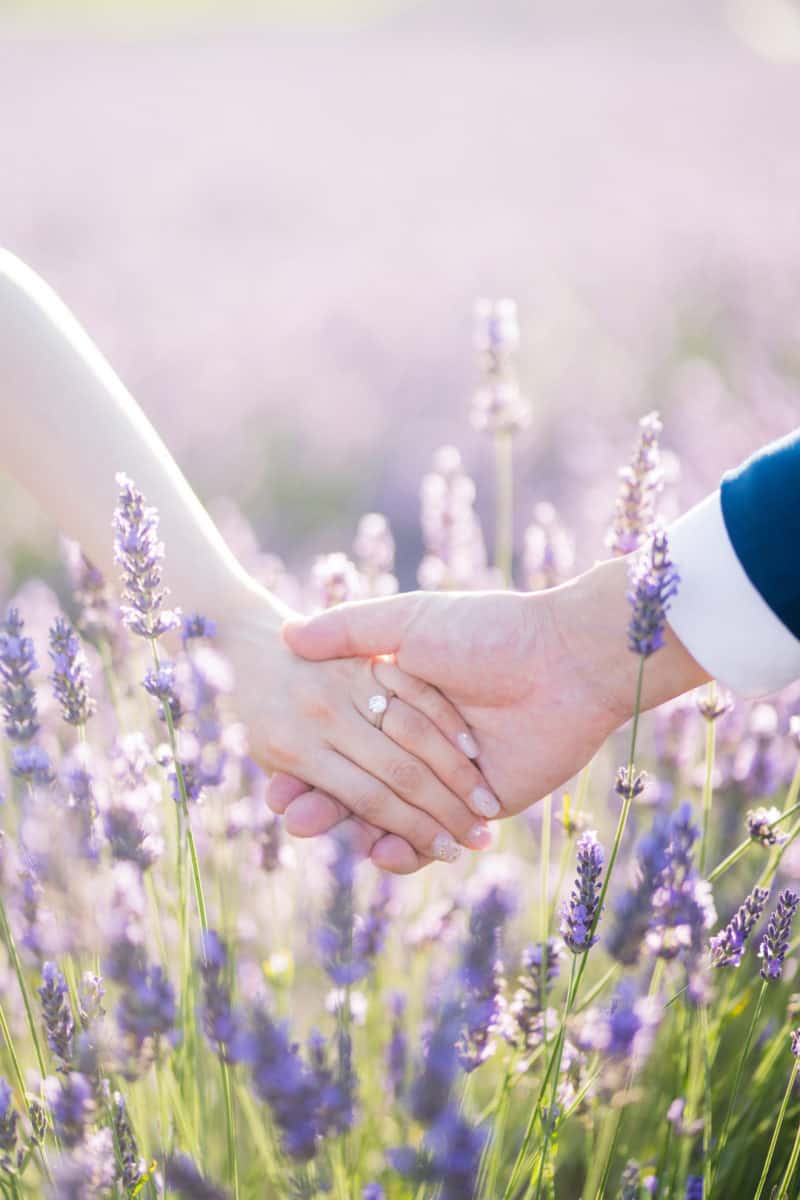 Intimate Wedding Ceremony In The Lavender Fields 47