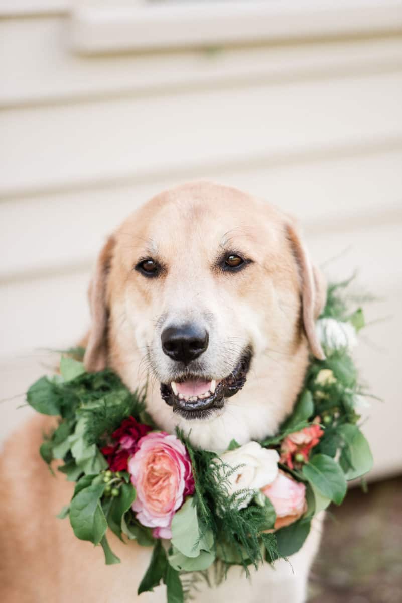 Heartwarming Outdoor Wedding 47