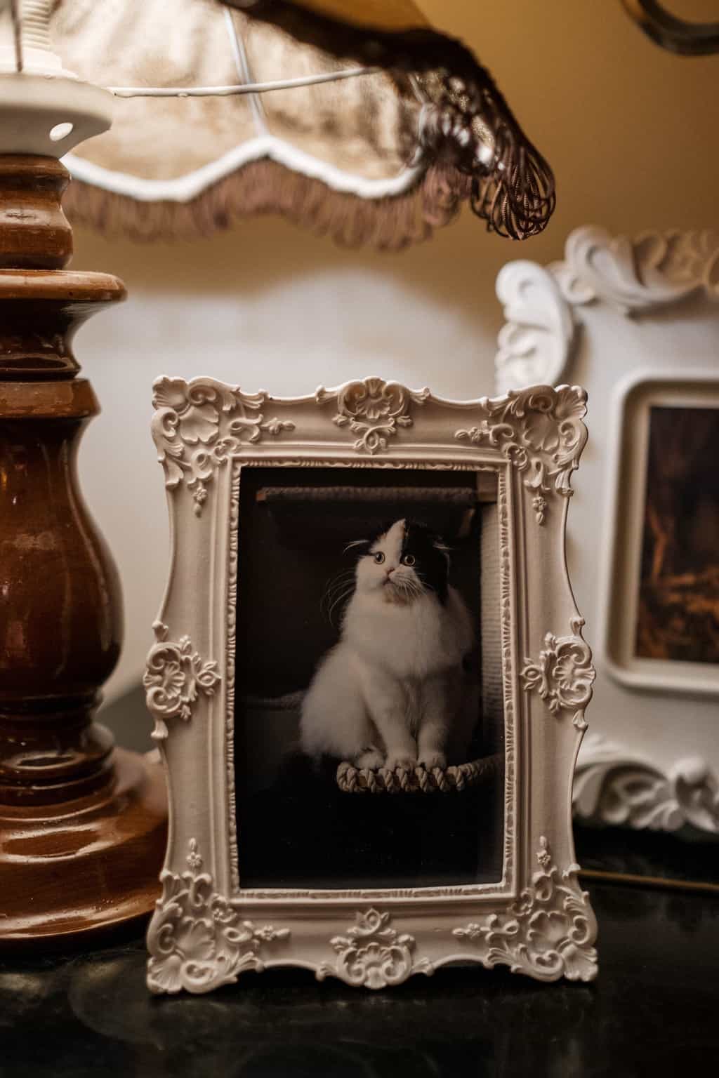 White Picture Frame on Brown Wooden Table